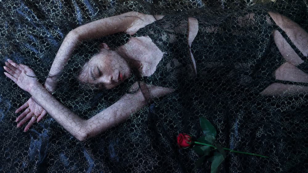 Dark Lace Dreamer by Tsutomu Sakamoto — canvas wall art