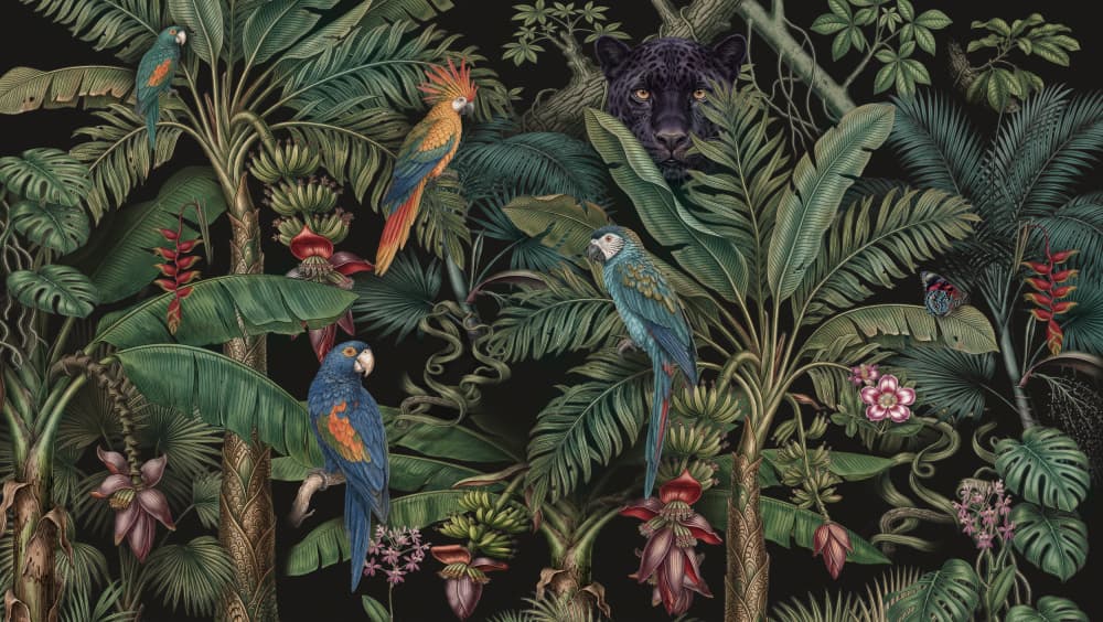 Exotic Jungle Wildlife by Dan Hobday — canvas wall art