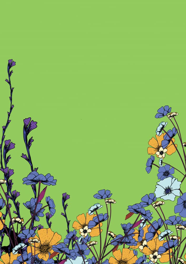 Colorful Meadow Flowers by Nicholas — canvas wall art
