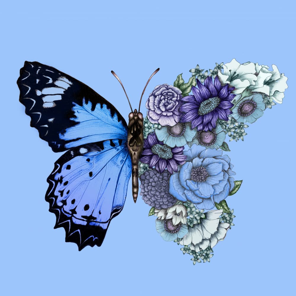 Blue Floral Butterfly by EC Mazur — canvas wall art