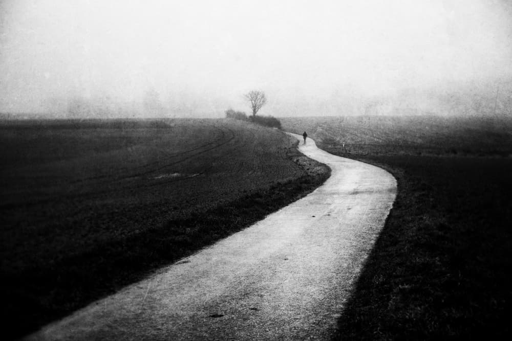 Winding Road Solitude by Adam Dauria ☂ — canvas wall art