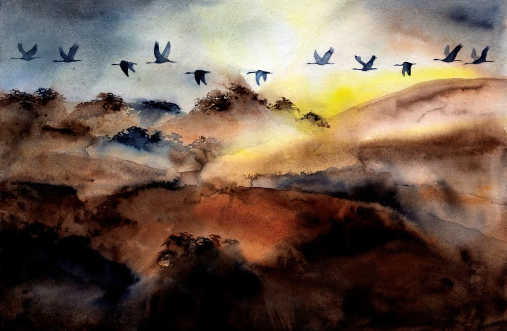 Birds Flying Over Hills by RodMacIver — canvas wall art