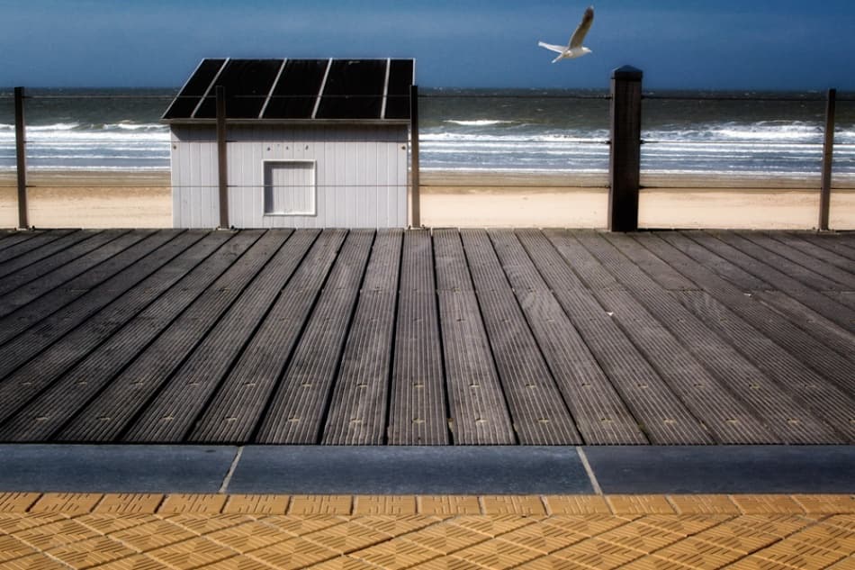 Ocean Deck Seagull by Eric Mattheyses — canvas wall art