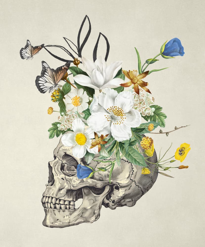 Vintage Floral Skull by Marja van den Hurk — canvas wall art