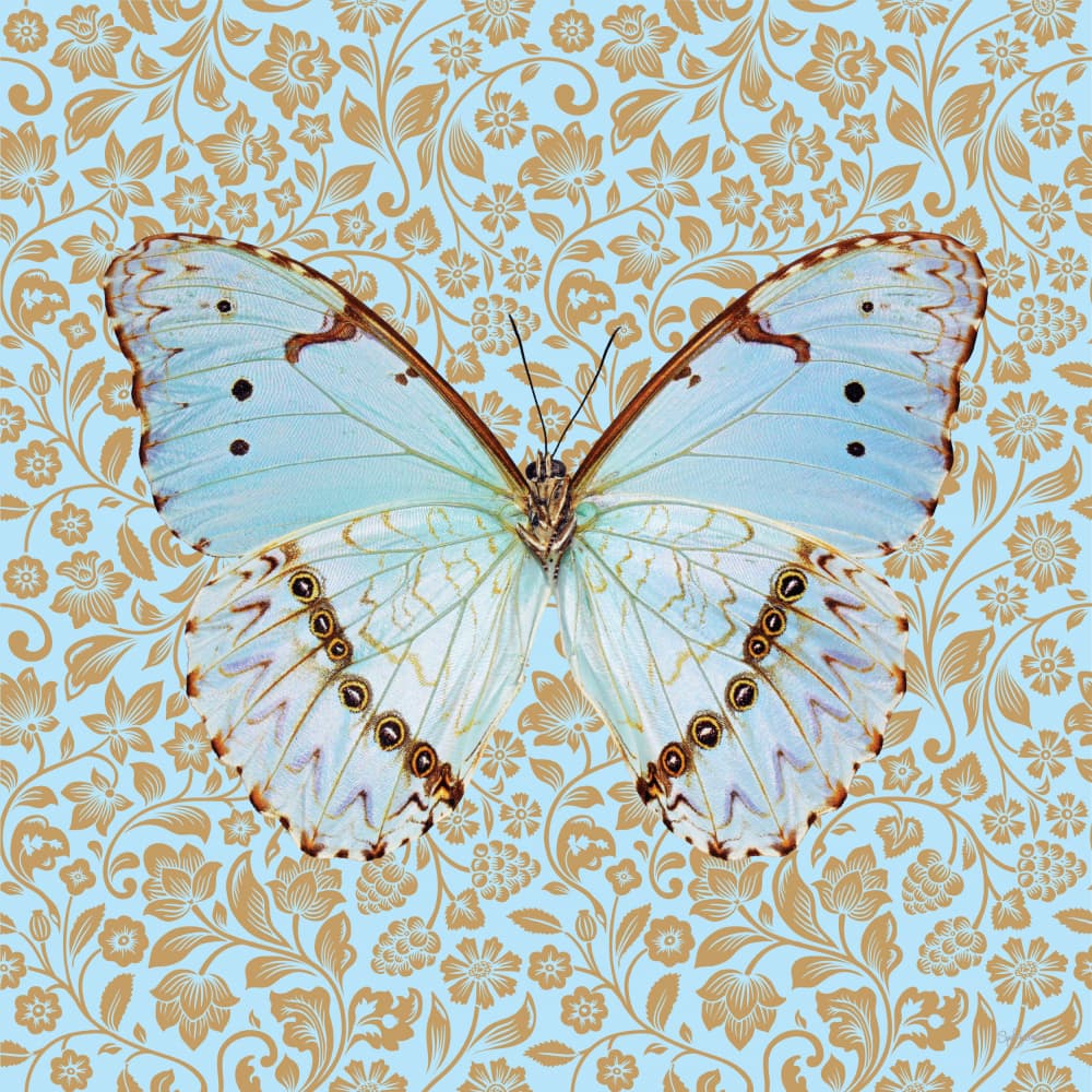 Serene Blue Butterfly by Sue Skellern — canvas wall art