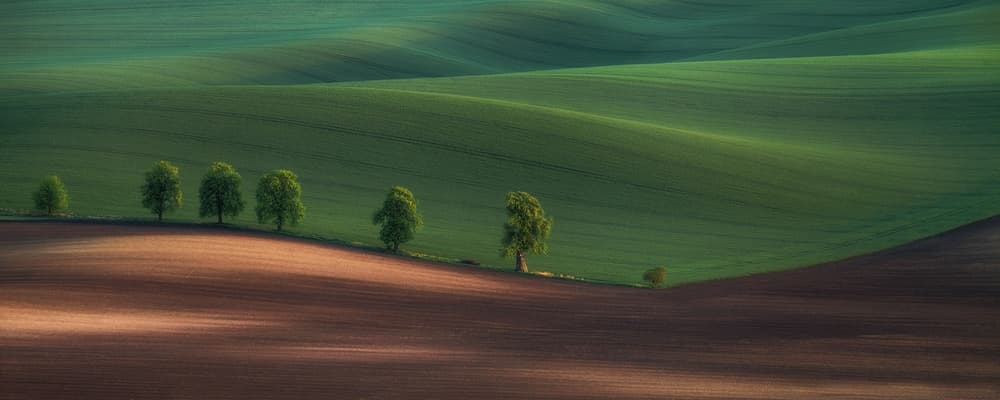 Green Rolling Hills by Peter Svoboda MQEP — canvas wall art