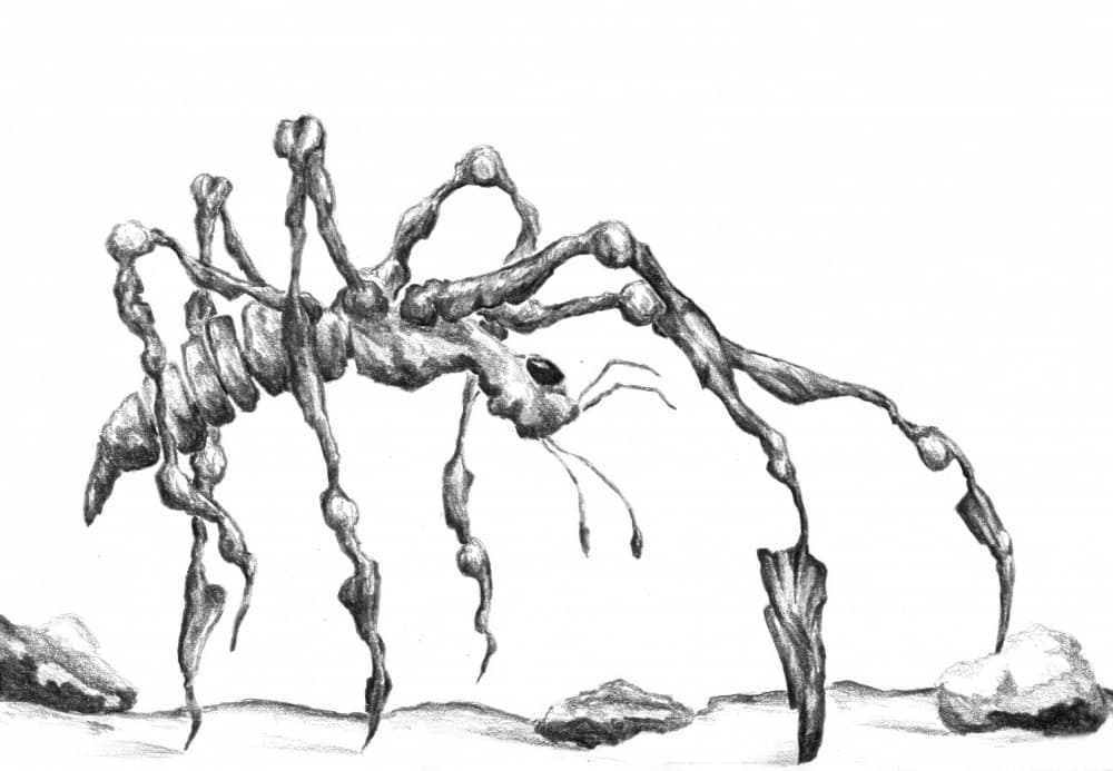 Fantasy Spider Sketch by Kulik — canvas wall art