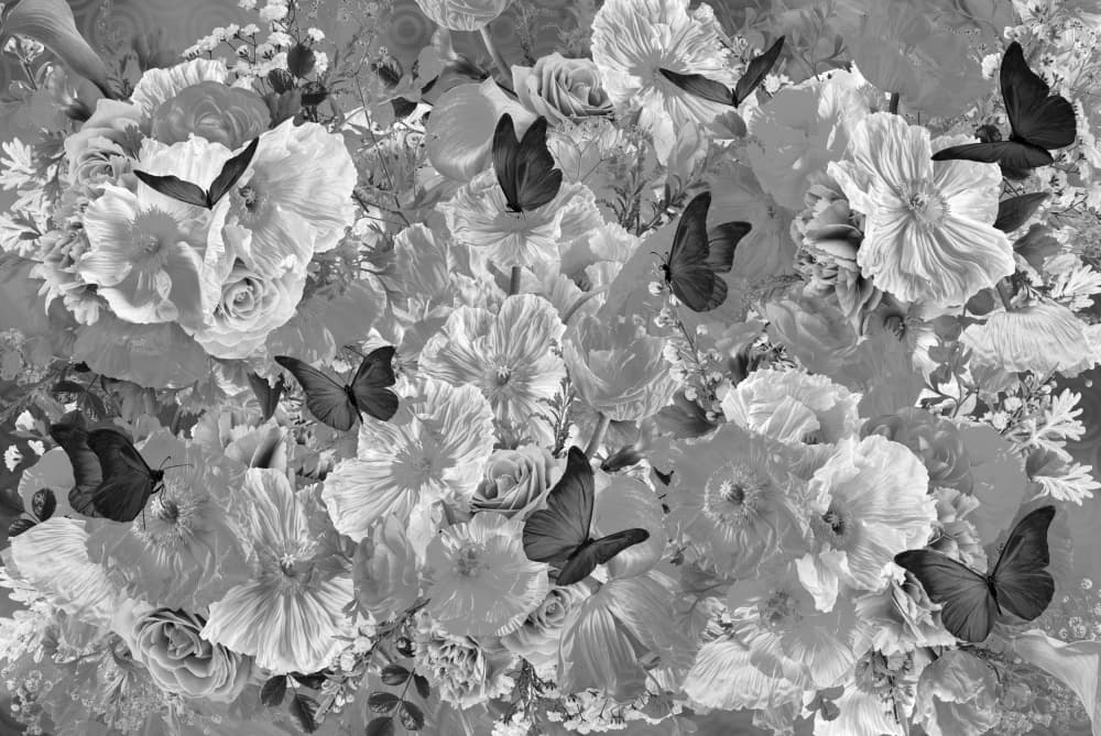 Monochrome Blooms and Butterflies by Sue Skellern — canvas wall art