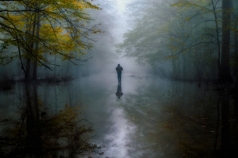 Misty Forest Path Reflection by Srecko Jubic — canvas wall art