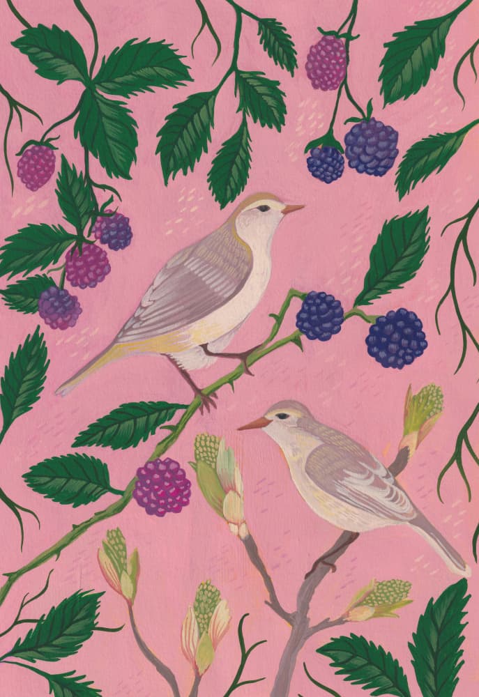 Spring Birds and Berries by Anjana Mistry — canvas wall art