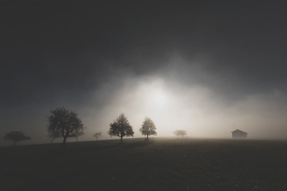 Misty Dawn Landscape by Uschi Hermann — canvas wall art
