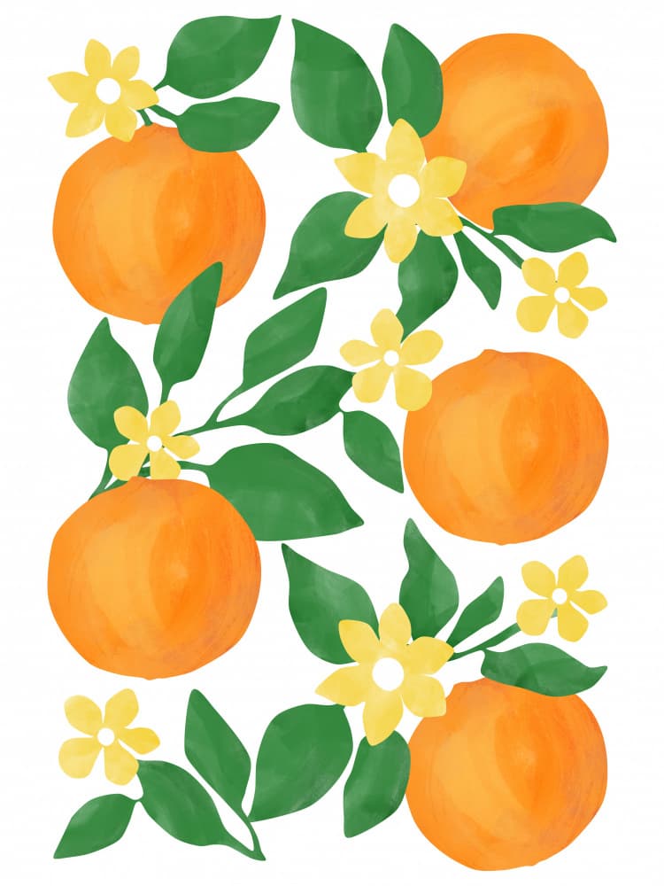Fresh Orange Blossoms by Elena Ristova — canvas wall art