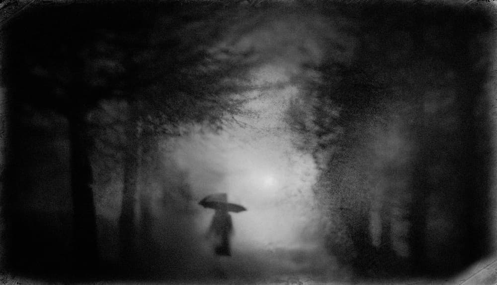 Solitary Walk in Mist by Teruhiko Tsuchida — canvas wall art