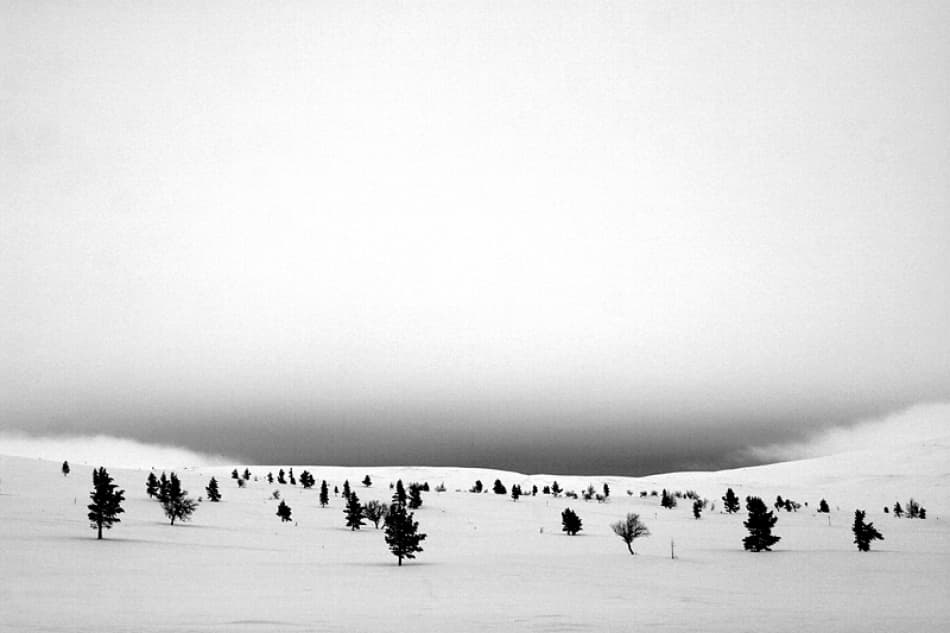 Minimal Winter Landscape by Bror Johansson — canvas wall art