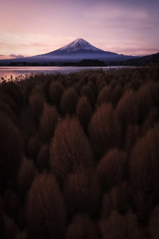 Mount Fuji Autumn Twilight by Linda Lu — canvas wall art