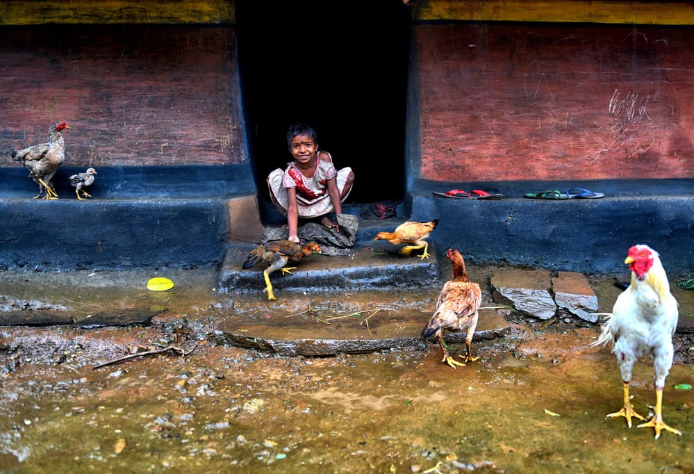 Smiling Girl Chickens by Avishek Das — canvas wall art