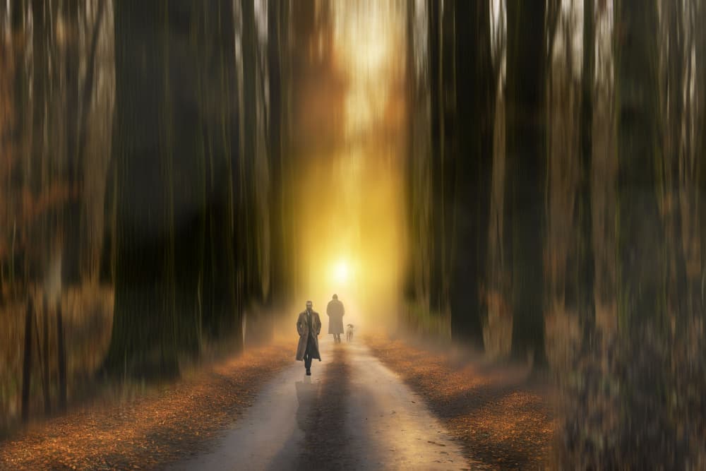 Golden Forest Path Walk by Ewa Całkosińska-Kajzer — canvas wall art