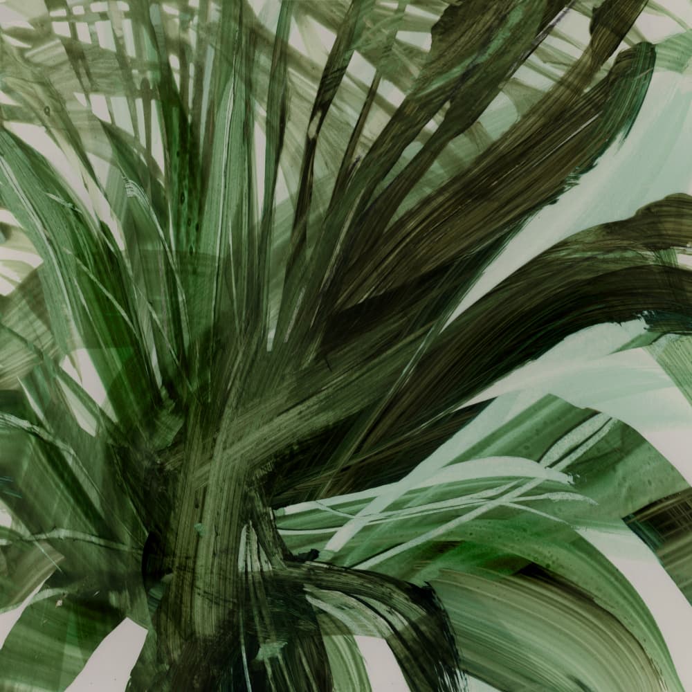 Palms by Dan Hobday — canvas wall art