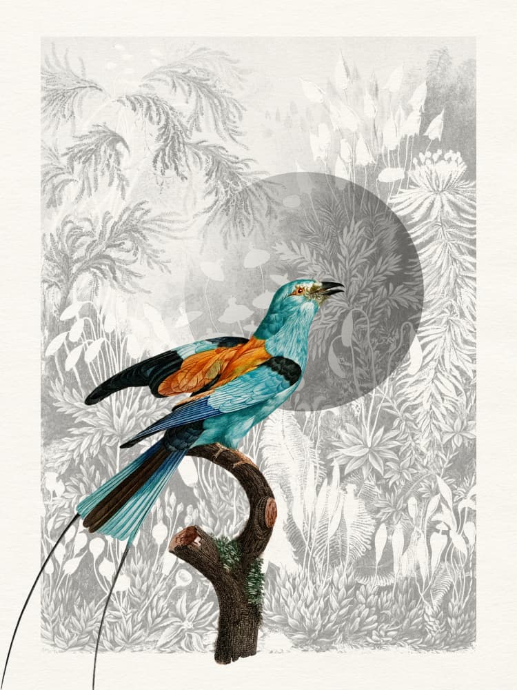 Moonlit Jungle Bird by Wild Violets — canvas wall art