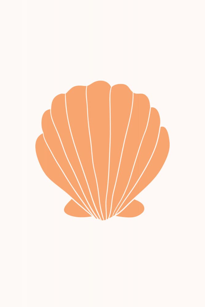 Warm Peach Seashell by Talitha McQueen — canvas wall art