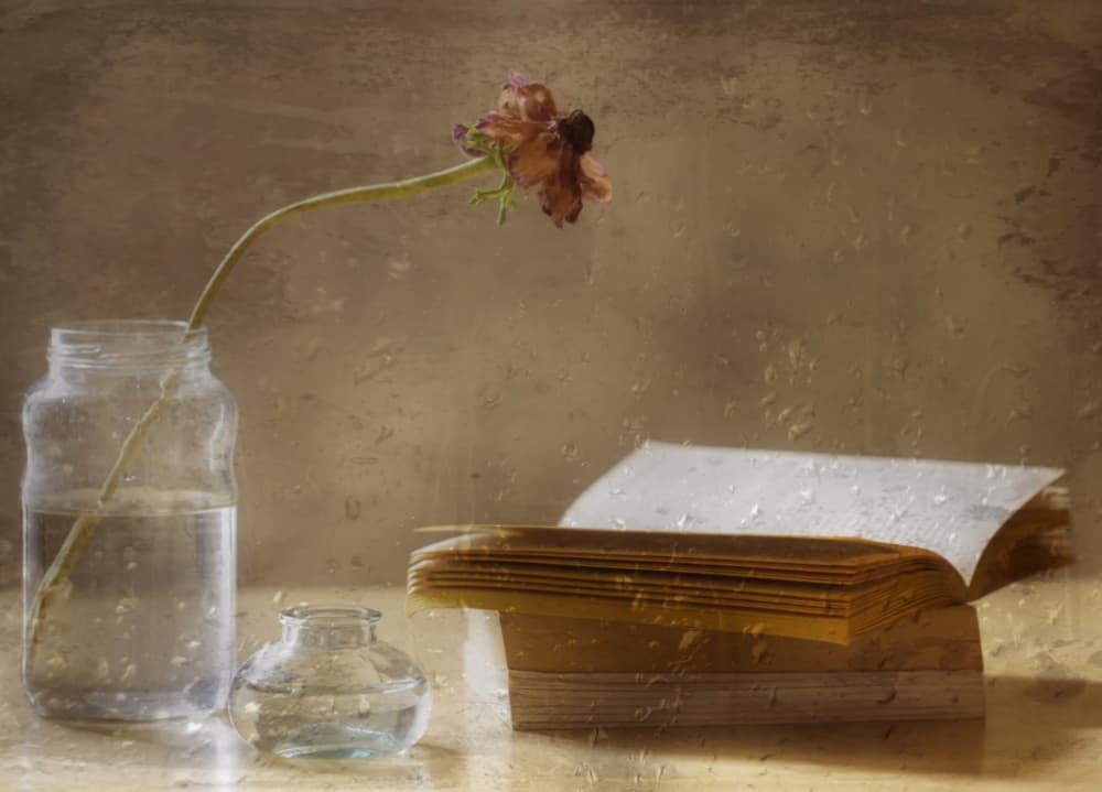Melancholy Bloom and Book by Delphine Devos — canvas wall art