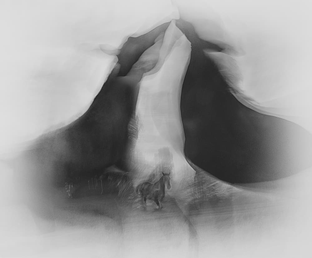 Fight by Milan Malovrh — canvas wall art