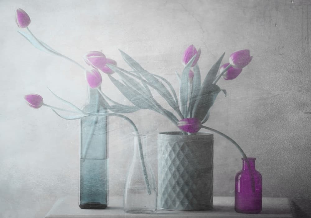 Dreamy Purple Tulips by Delphine Devos — canvas wall art