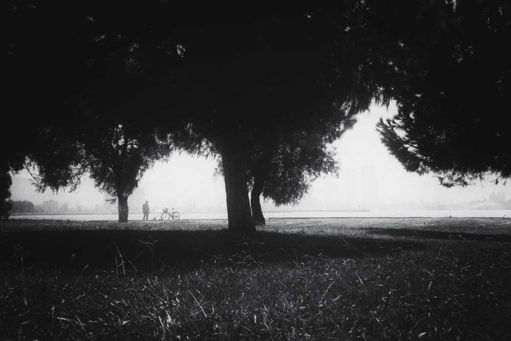 Lone Cyclist In Mist by Ali Ayer — canvas wall art