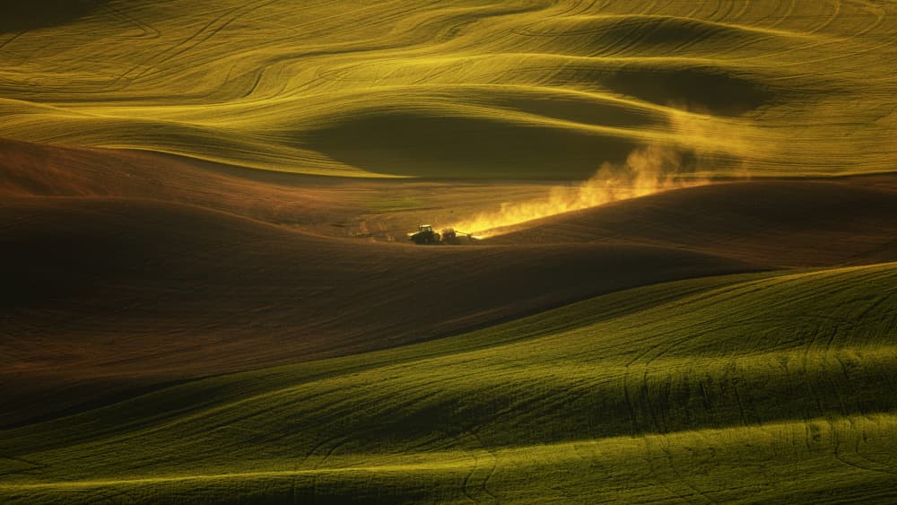 Golden Dust Rolling Fields by Joan Zhang — canvas wall art