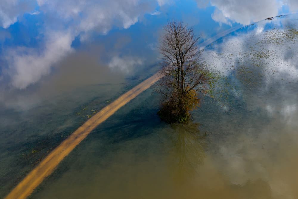 Flooded Landscape Reflection by Jure Kravanja — canvas wall art