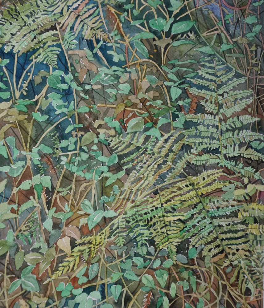 Lush Forest Ferns by Luisa Millicent — canvas wall art