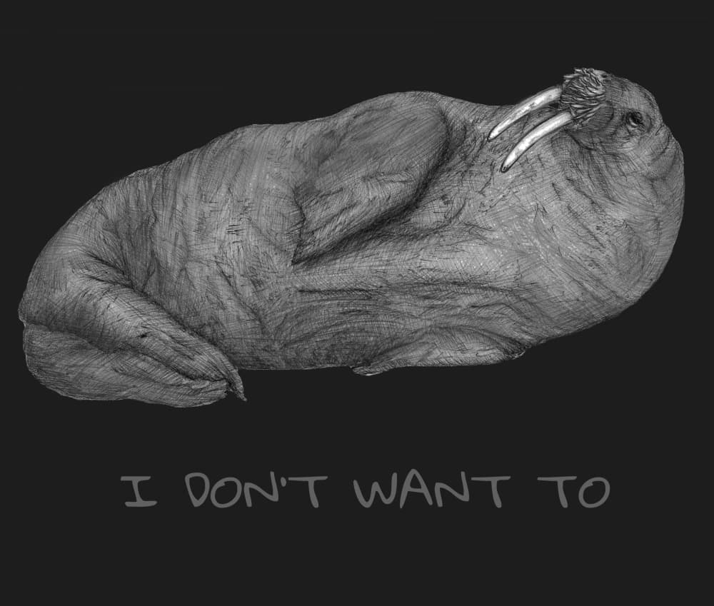 I Don't Want To Walrus by EC Mazur — canvas wall art