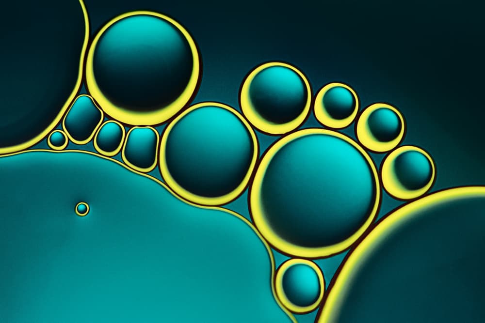 Glowing Teal Bubbles by Lydia Jacobs — canvas wall art