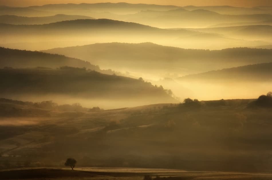 Misty Golden Hills by PhotoCosma — canvas wall art