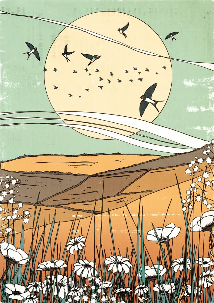 Swallows Over Golden Fields by Nicholas — canvas wall art