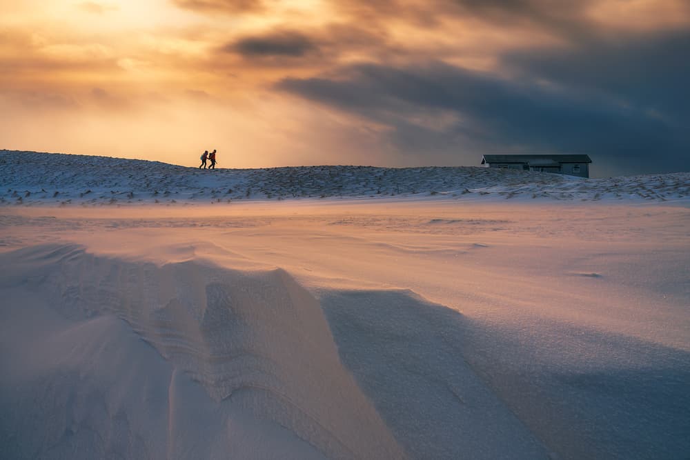 Golden Hour Snow Walk by Bingo Z — canvas wall art