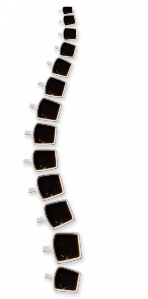 Coffee Spine Curve by Wieteke de Kogel — canvas wall art