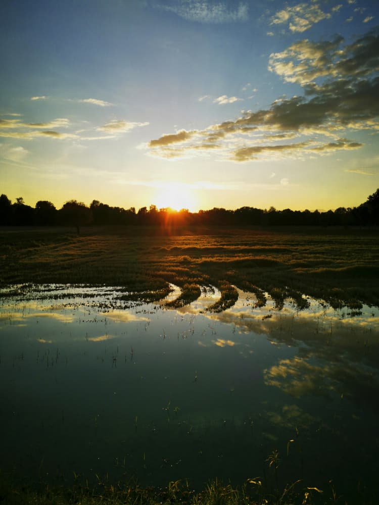 Golden Hour Reflections by Angelo Cerantola — canvas wall art