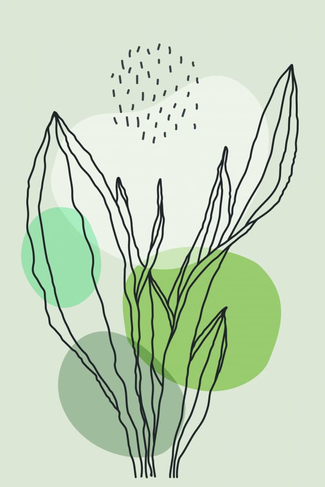 Minimalist Green Botanical by jay stanley — canvas wall art