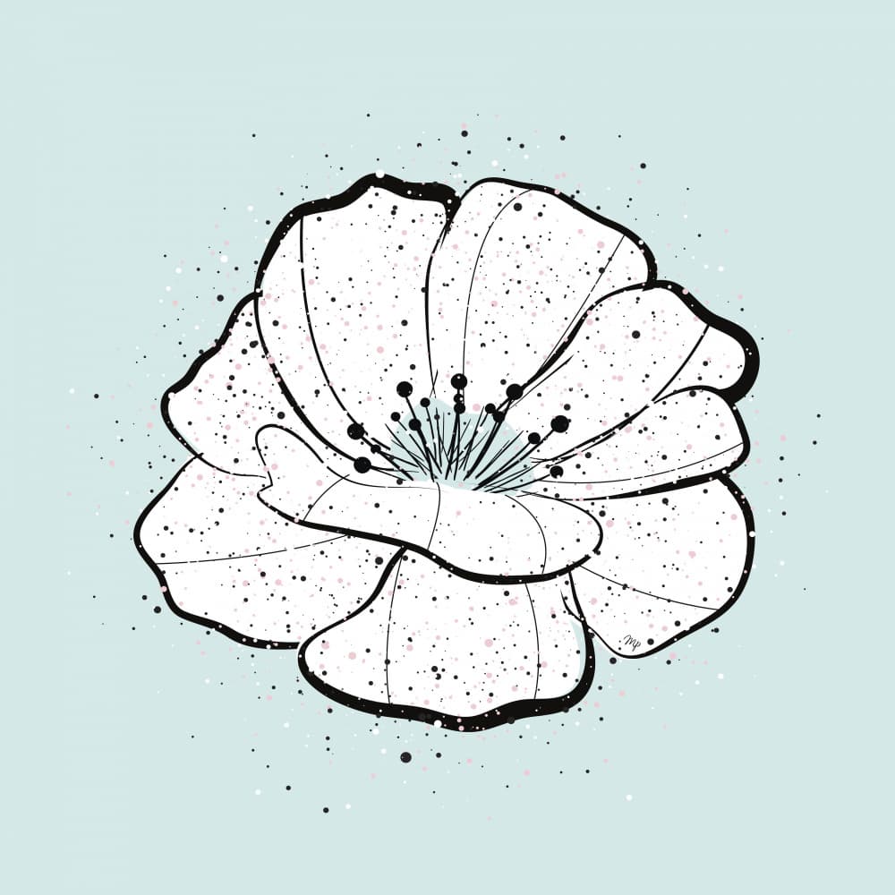 Delicate White Bloom by Martina — canvas wall art