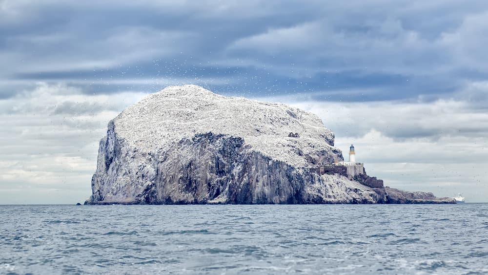Remote Island Lighthouse by Joan Gil Raga — canvas wall art