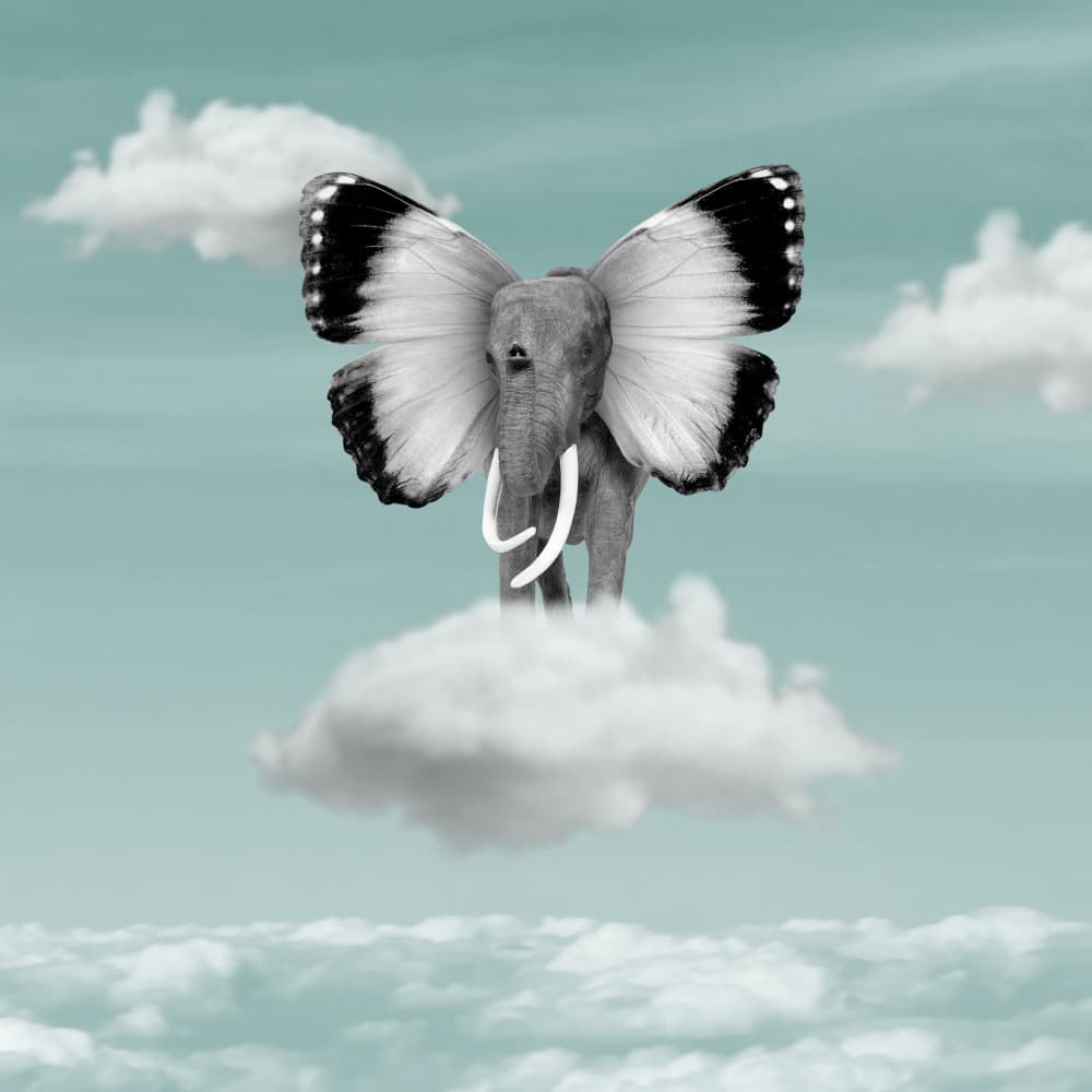 Flying Elephant Dream by Marja van den Hurk — canvas wall art