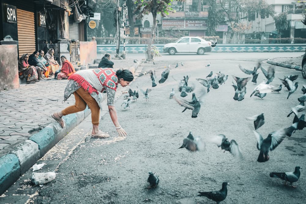 Woman Feeding City Pigeons by Subhajit Das — canvas wall art