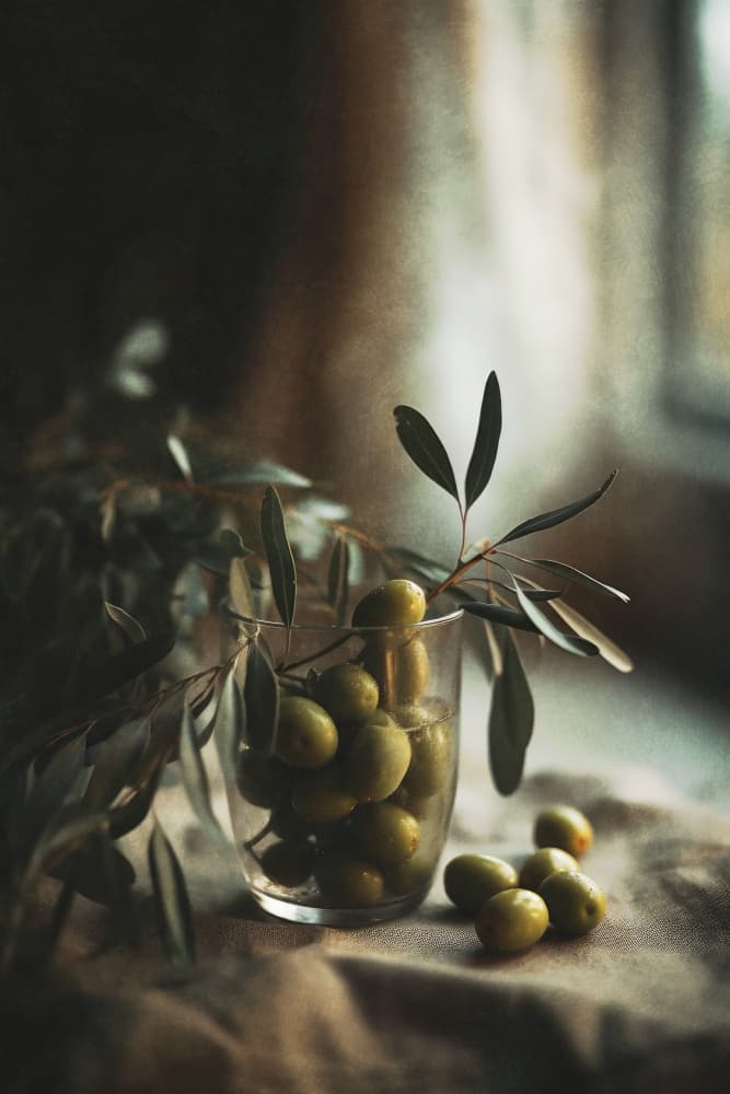Olive Serenity by Treechild — canvas wall art