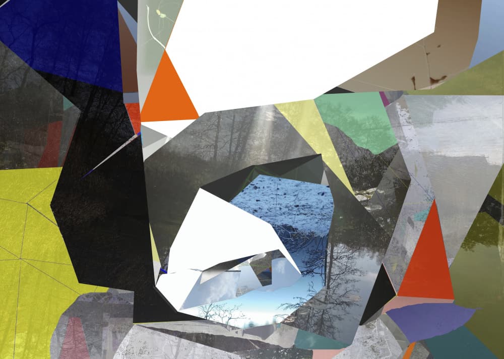 Geometric Nature Collage by Stefan Fransson — canvas wall art