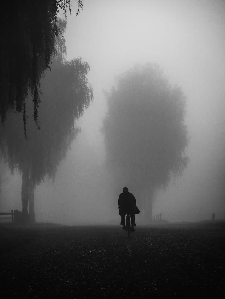 Misty Morning Rider by Renate Wasinger — canvas wall art
