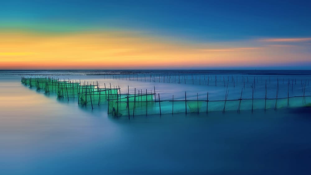 Golden Hour Fishing Nets by MingLun Tsai (蔡明倫) — canvas wall art