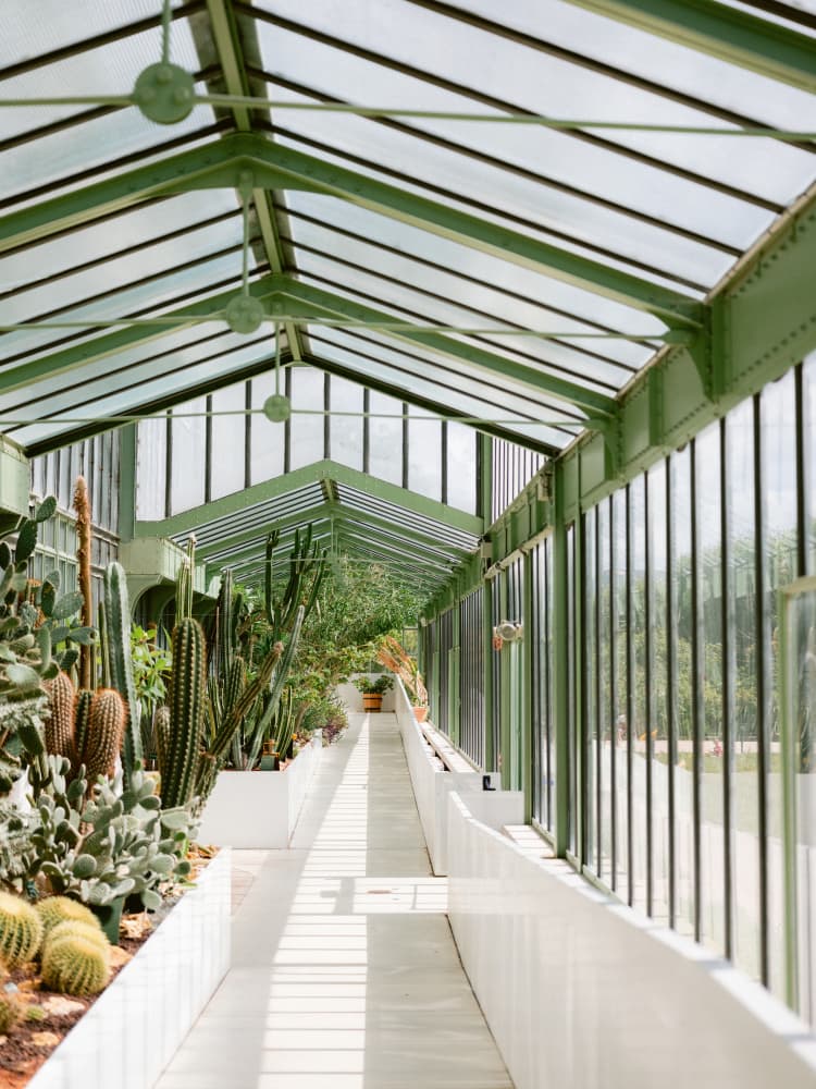 Botanical garden of Paris by Raisa Zwart — canvas wall art