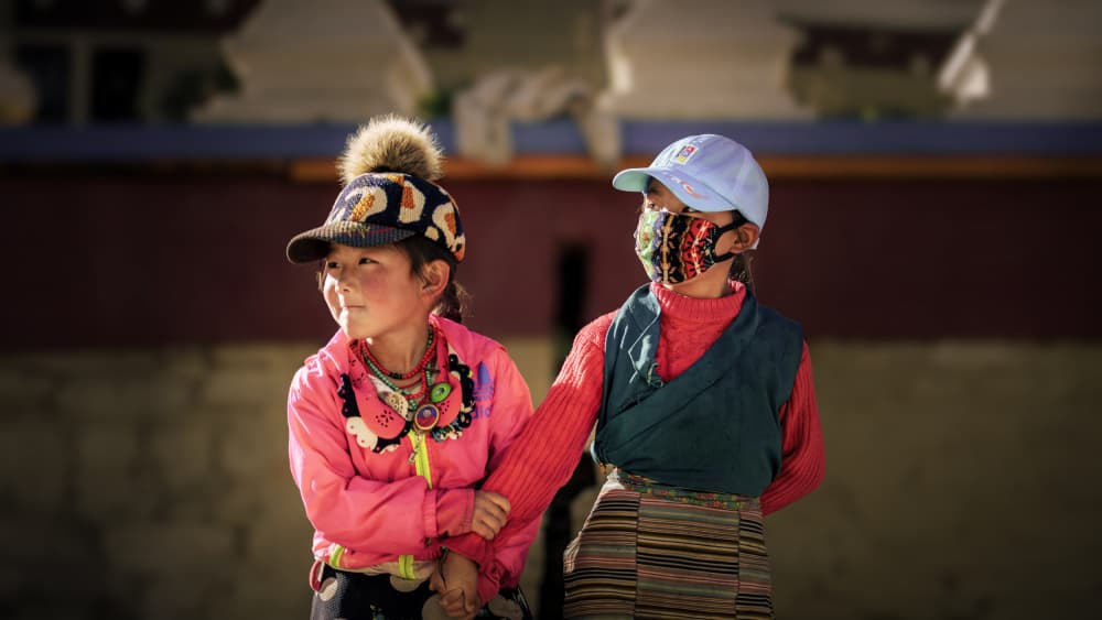 Himalayan Friends in Sunlight by tianhuayu — canvas wall art
