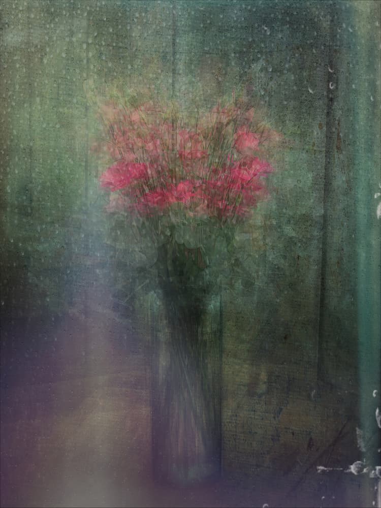 Rainy Window Flowers by Katarina Holmström — canvas wall art